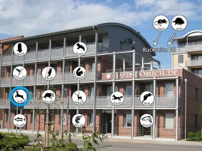 Ferienwohnung für 4 Personen (55 m²) in Waren (Müritz) 9/10