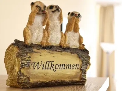 Ferienwohnung für 4 Personen (80 m²) in Waren (Müritz) 2/10