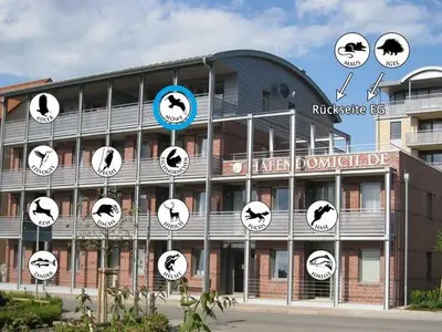 Ferienwohnung für 5 Personen (70 m²) in Waren (Müritz) 10/10