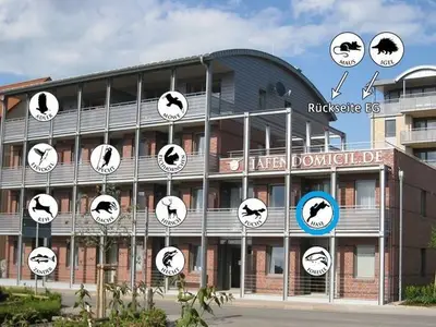 Ferienwohnung für 4 Personen (46 m²) in Waren (Müritz) 8/10