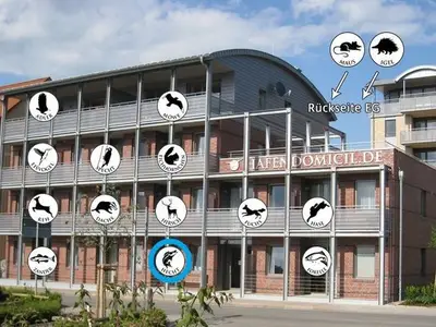 Ferienwohnung für 4 Personen (51 m²) in Waren (Müritz) 7/10