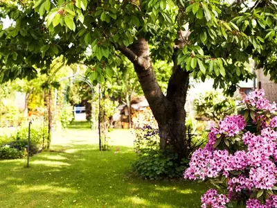 Ferienwohnung für 6 Personen (72 m²) in Waren (Müritz) 2/10
