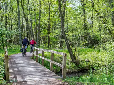 Ferienwohnung Jette Waren (Müritz) - nur 10 minuten mit dem Fahrrad in den Nationalpark