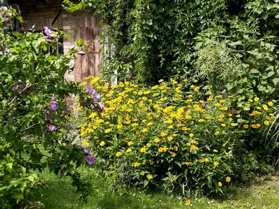 Ferienwohnung Gänseblume Waren (Müritz) - der Garten