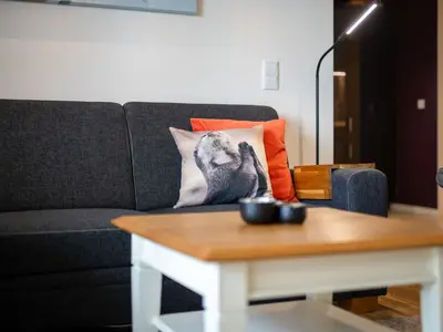Ferienwohnung Fischotter Hafenresidenz Wohnbereich Detailaufnahme