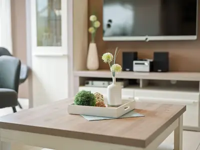 Ferienwohnung Müritztraum Hafenresidenz Detailaufnahme Wohnzimmer