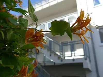 Ferienwohnung für 2 Personen (54 m²) in Waren (Müritz) 5/10