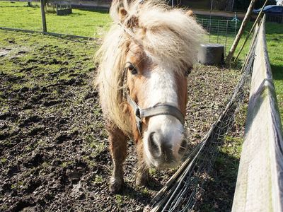 Hier können Sie noch viele Tiere erleben