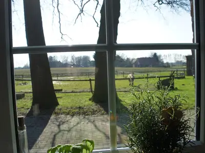 Familie Schwienhorst