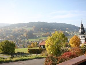 19287319-Ferienwohnung-4-Warmensteinach-300x225-2