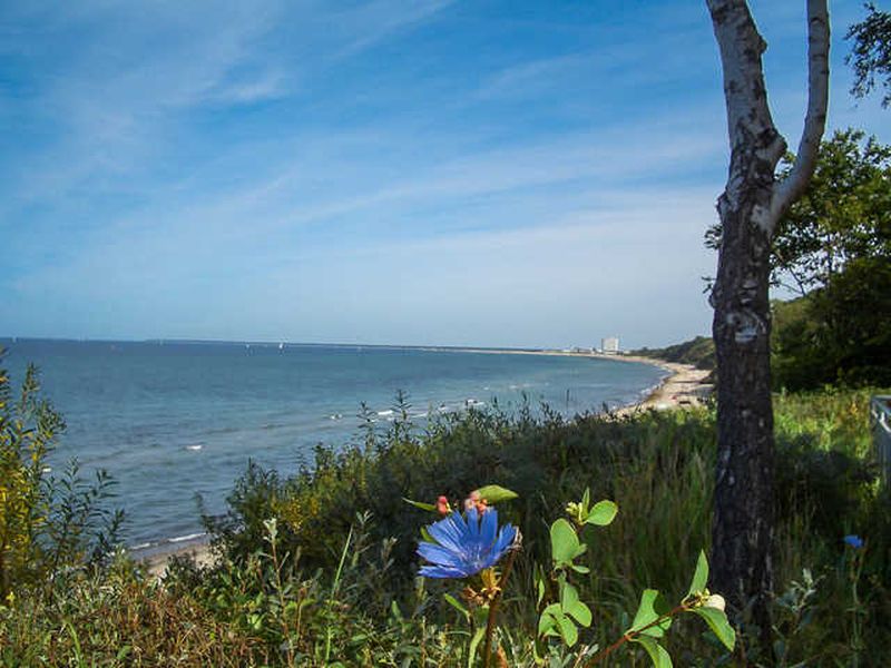 21738177-Ferienwohnung-2-Warnemünde (Ostseebad)-800x600-1