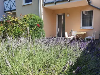 Ferienwohnung für 4 Personen (58 m²) in Rostock 9/10