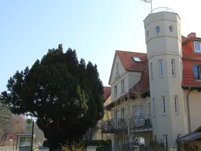 Ferienwohnung für 4 Personen (44 m²) in Rostock 7/10