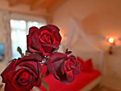 Ferienwohnung für 2 Personen (30 m²) in Warnemünde (Ostseebad) 6/10