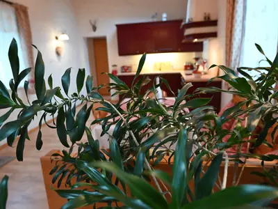 Ferienwohnung für 4 Personen (80 m²) in Warnemünde (Ostseebad) 6/10