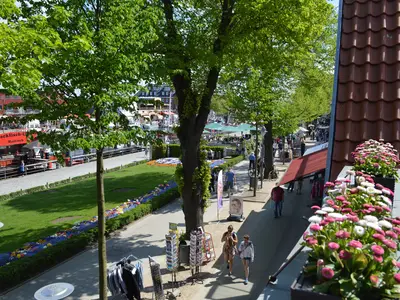 Ferienwohnung für 4 Personen (42 m²) in Warnemünde (Ostseebad) 9/9