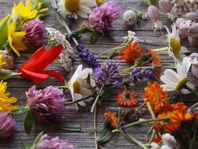 Blumen