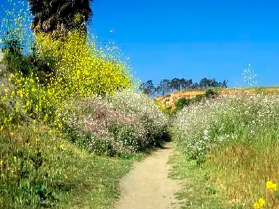 Ferienwohnung für 6 Personen (70 m²) in Warthe (Ostvorpommern) 9/10
