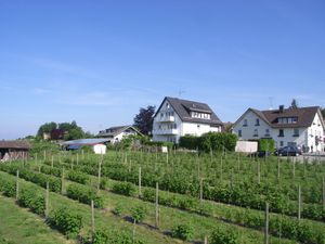 18711700-Ferienwohnung-3-Wasserburg am Bodensee-300x225-3