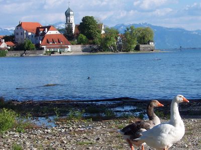 Halbinsel Wasserburg