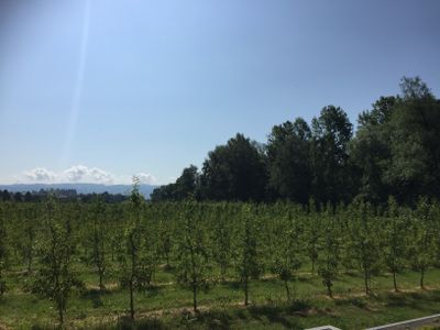 Ferienwohnung für 4 Personen (50 m²) in Wasserburg am Bodensee 8/10