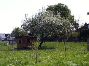 18585701-Ferienwohnung-2-Wasserburg am Bodensee-300x225-5