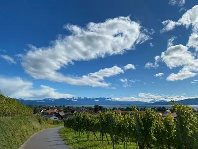 Ferienwohnung für 4 Personen (40 m²) in Wasserburg am Bodensee 6/10