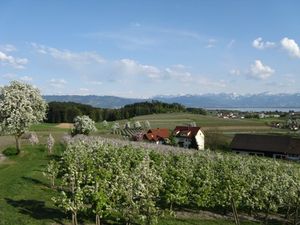 19368138-Ferienwohnung-4-Wasserburg am Bodensee-300x225-1