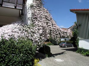 18583816-Ferienwohnung-4-Wasserburg am Bodensee-300x225-3