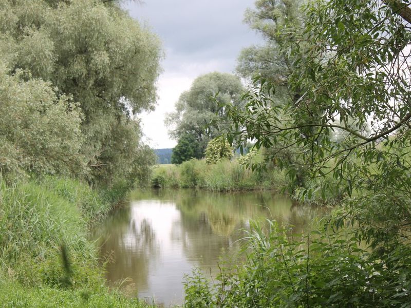 21989981-Ferienwohnung-5-Wechingen-800x600-1