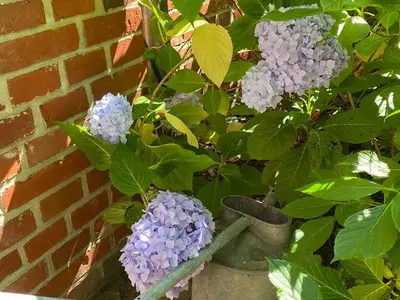 Ferienwohnung für 7 Personen (45 m²) in Weener 8/10