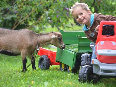 Kind am Traktor mit Ziege