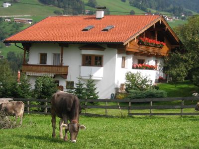 Idylle im Grünen