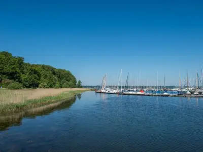 taff_noltemedia01635