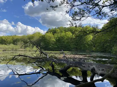 Roiskier See