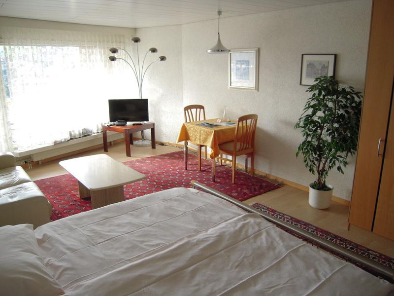 18286910-Ferienwohnung-2-Weggis-800x600-2