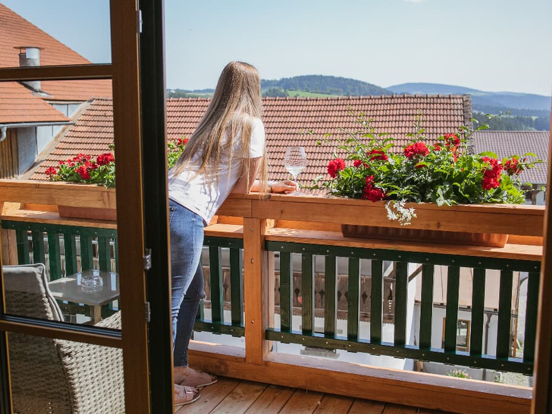 19326228-Ferienwohnung-4-Wegscheid-800x600-2