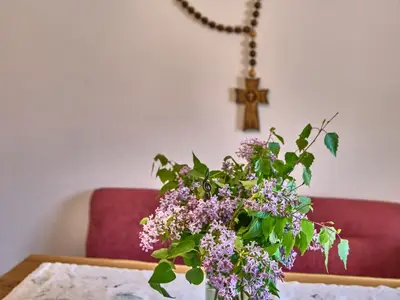 Naderhirn010525mf081