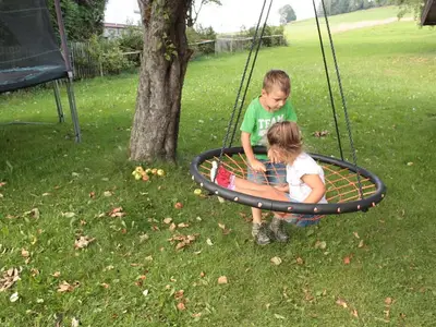 Nestschaukel im groß