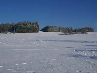 Hauseigener Rodelhan