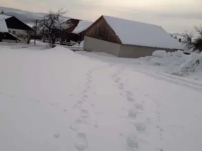 Beim Schneeschuhwand