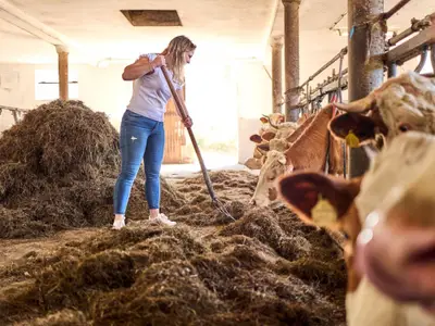 1_Naderhirn010525mf176__Naderhirn010525mf176