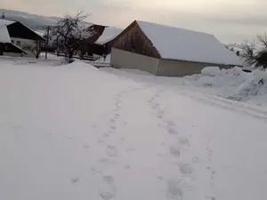 Ferienwohnung für 5 Personen (70 m²) in Wegscheid