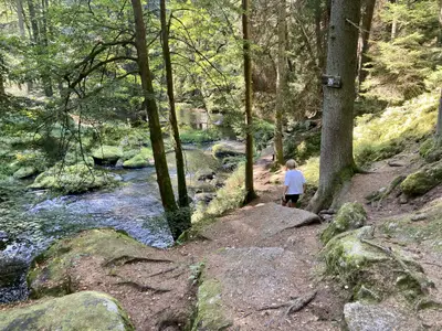 Waldnaabtal