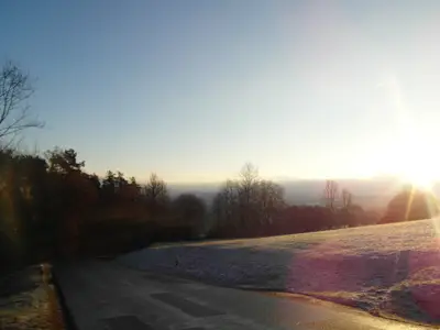 Spaziergang im Grünen