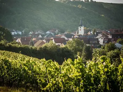 Ferienwohnung für 2 Personen (50 m²) in Weiler bei Monzingen 9/10