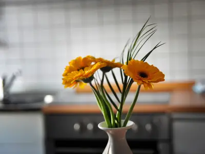 Ferienwohnung für 5 Personen (75 m²) in Weiler (Mayen-Koblenz) 10/10