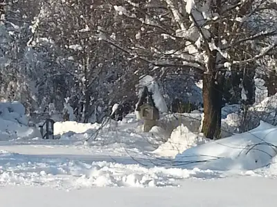Winter