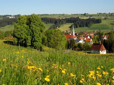 Landschaft im Sommer