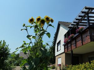 Ferienwohnung für 2 Personen (35 m&sup2;) in Weilheim (Baden-Württemberg)